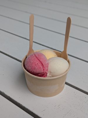  at Daintree Ice Cream Company in Diwan