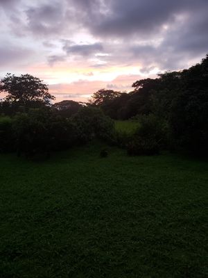 View during sunset at Ballena Bistro in Uvita