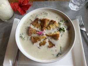 Quinoa bowl with falafel   at Ballena Bistro in Uvita