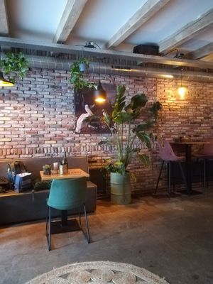 Plants for a calm atmosphere.. at WIT-LOF in Den Burg