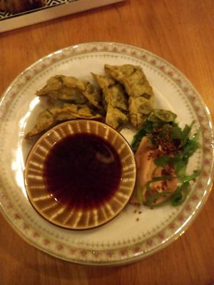  at WIT-LOF in Den Burg