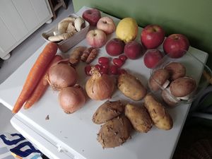  at Bio-tuinderij De Kromme Lepel in Bergen Op Zoom