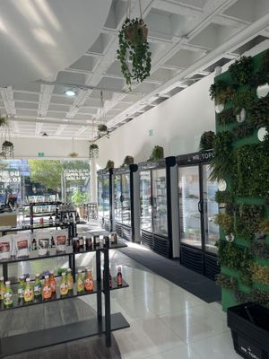   at Mr. Tofu in Aguascalientes