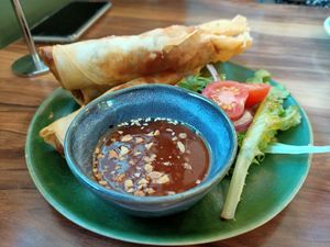 Duck Springaz at Little Digs in Fortitude Valley