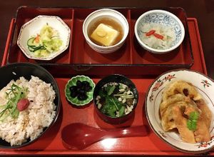 Vegan set meal at Shizenshoku Sunroom in Tokyo