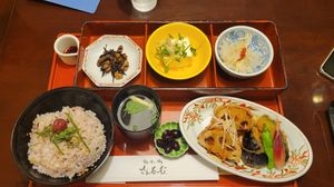  at Shizenshoku Sunroom in Tokyo