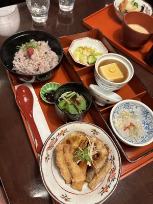   at Shizenshoku Sunroom in Tokyo