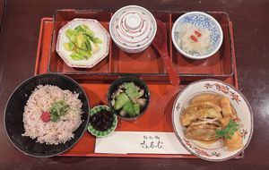   at Shizenshoku Sunroom in Tokyo