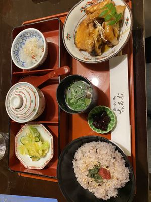   at Shizenshoku Sunroom in Tokyo