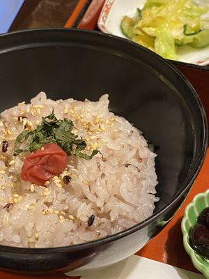   at Shizenshoku Sunroom in Tokyo