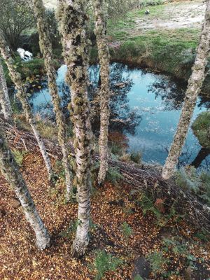 Lake at Hortalegre in Montalegre