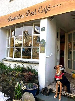 We're more than dog friendly, we prefer it if you bring a four legged friend in fact. We even keep a supply of sticks at the ready, and water on demand. at Bumbles' Rest Cafe in Ambleside