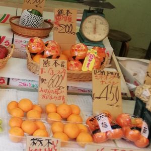 Oranges at Nari-shi Kajitsu-ten 成市果実店 in Tokyo