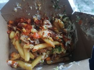 Loaded fries at Sloth and Sparrow in Falmouth