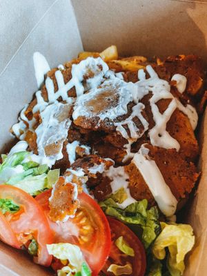 Donner kebab loaded fries 🍟  at Sloth and Sparrow in Falmouth