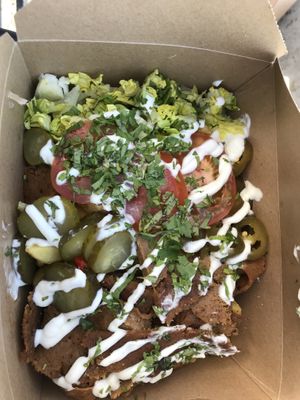 Loaded fries with doner  at Sloth and Sparrow in Falmouth