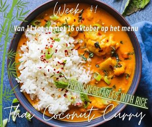 Vegan Special: Thai Coconut Curry at Ginger in Willemstad