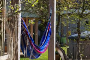 Relaxing at De Groene Mus  in Wervershoof