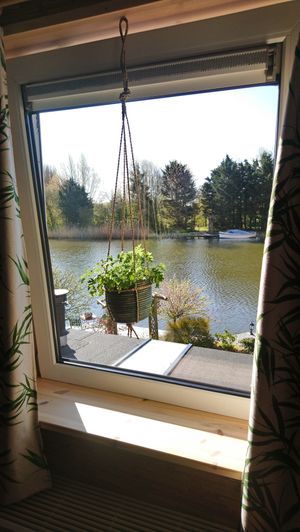 Uitzicht vanuit de bamboe kamer op het water.  at De Groene Mus  in Wervershoof