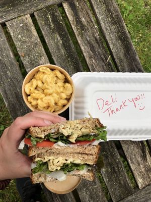 Deli sandwich and mac n cheeze  at The Beehive Cafe in Berkeley Springs