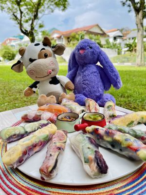 Rice Paper Roll Platter at WakaMama in Central Singapore