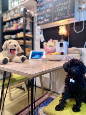  at WakaMama in Central Singapore