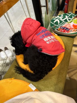   at WakaMama in Central Singapore