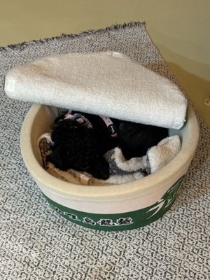   at WakaMama in Central Singapore