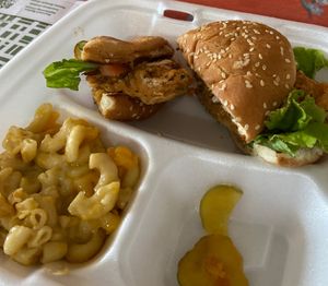   at Hungry Vegan in Savannah