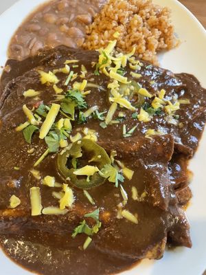 Enchilada Mole with vegan meat  at Taco Amigo - 타코 아미고 in Seoul