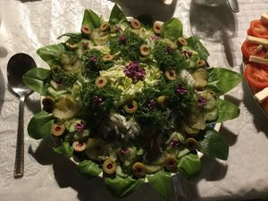 mandala salad at EcoVillage Bhrugu Aranya in Jordanow