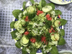 green mandala salad at EcoVillage Bhrugu Aranya in Jordanow