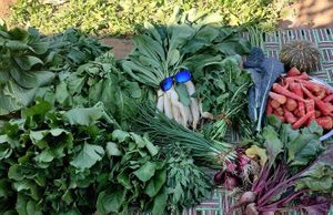 Responsibly Grown Organic Food at ResponsiblyGrown in Gurgaon