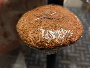 Banana muffin at Nodo in Iowa City