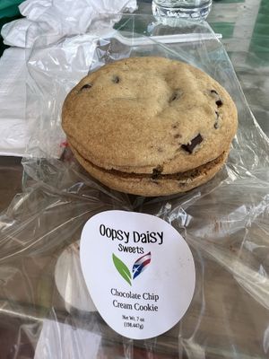 Chocolate chip cookie sandwich   at Ybor City Vegan Deli in Tampa
