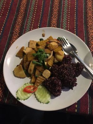 Pumpkin sweet basil tofu at Tikky Cafe in Chiang Mai