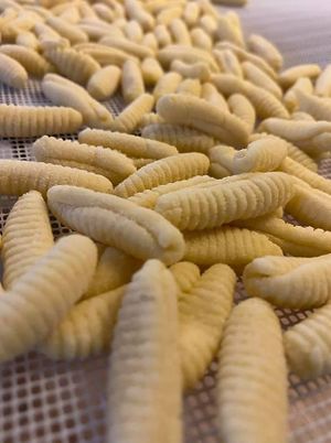 Vegan Pasta from scratch: Cavatelli at The Rolling Pin Cooking School in Padua