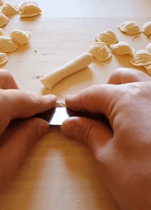 Fresh pasta orecchiette from scratch at The Rolling Pin Cooking School in Padua
