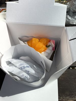 Aw they packaged it with ice  at The Vegan Marshmallooow in Tokyo