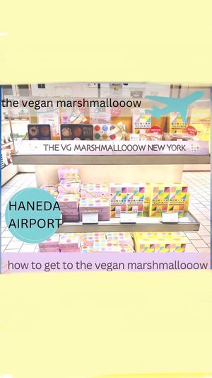  at The Vegan Marshmallooow in Tokyo