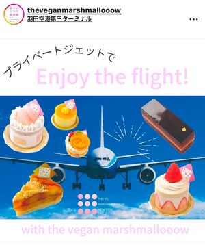   at The Vegan Marshmallooow in Tokyo