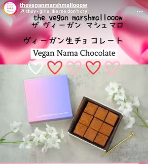  at The Vegan Marshmallooow in Tokyo