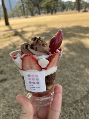   at The Vegan Marshmallooow in Tokyo