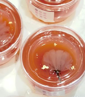  at The Vegan Marshmallooow in Tokyo