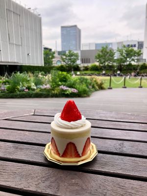  at The Vegan Marshmallooow in Tokyo