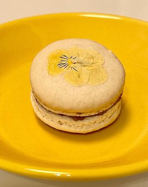  at The Vegan Marshmallooow in Tokyo