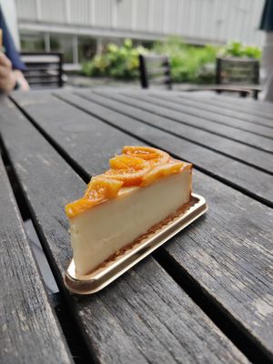 Vegan orange cheesecake at The Vegan Marshmallooow in Tokyo