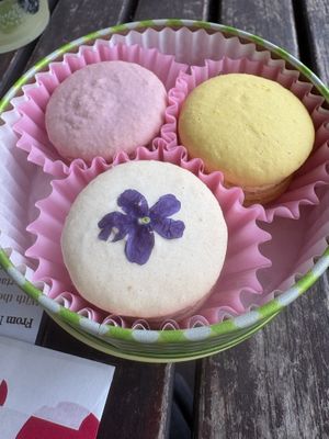   at The Vegan Marshmallooow in Tokyo
