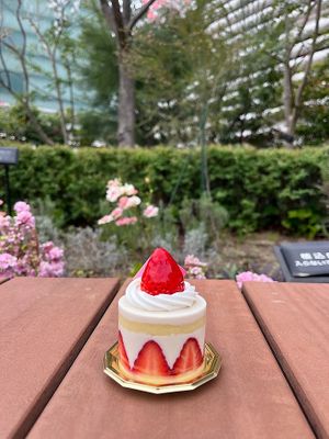  at The Vegan Marshmallooow in Tokyo