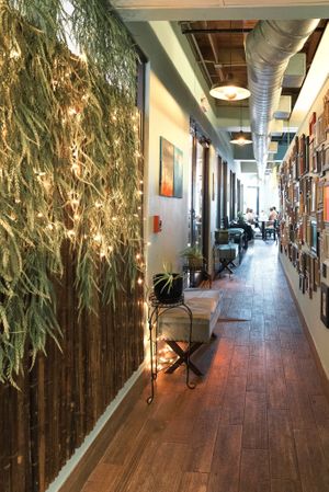  at Ka Papa Cuisine in Sarasota